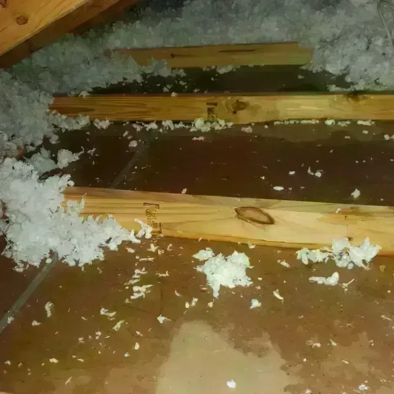 Attic Water Damage in Providence, TX