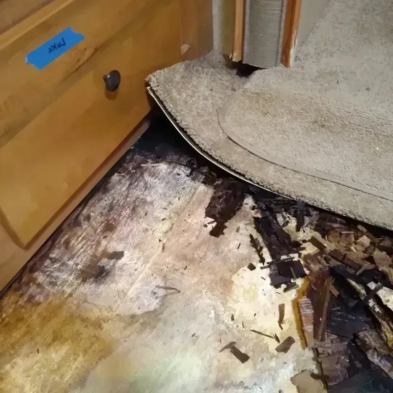 Wood Floor Water Damage in Providence, TX